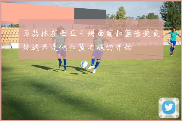 马瑟林在西亚卡姆面前扣篮感受良好这只是他扣篮之旅的开始